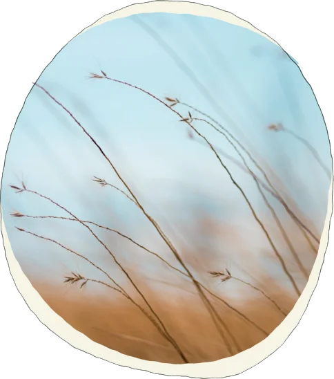 About page designed to slow